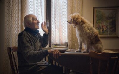 ‘The Truffle Hunters’ Review: In Dogged Pursuit of Culinary Gold